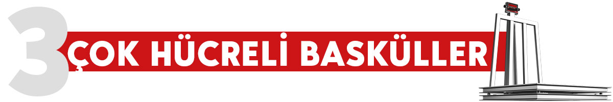 Çok Hücreli Basküller