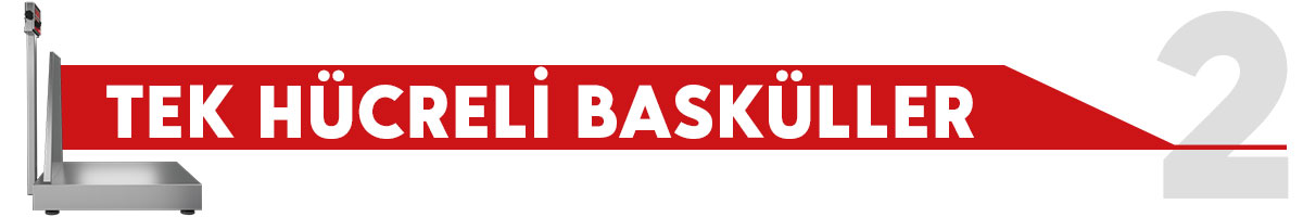 Tek Hücreli Basküller
